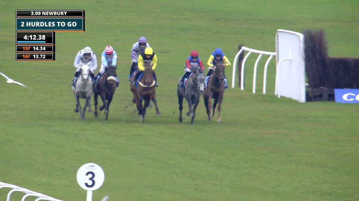 🤨 Paul Nicholls on NO DRAMA THIS END, per Maddy Playle: "If I’d have seen the weather forecast I could have run him in the Albert Bartlett, which would have suited him better in the end." 👍 I'm no trainer but always thought 3m was the way to go.
