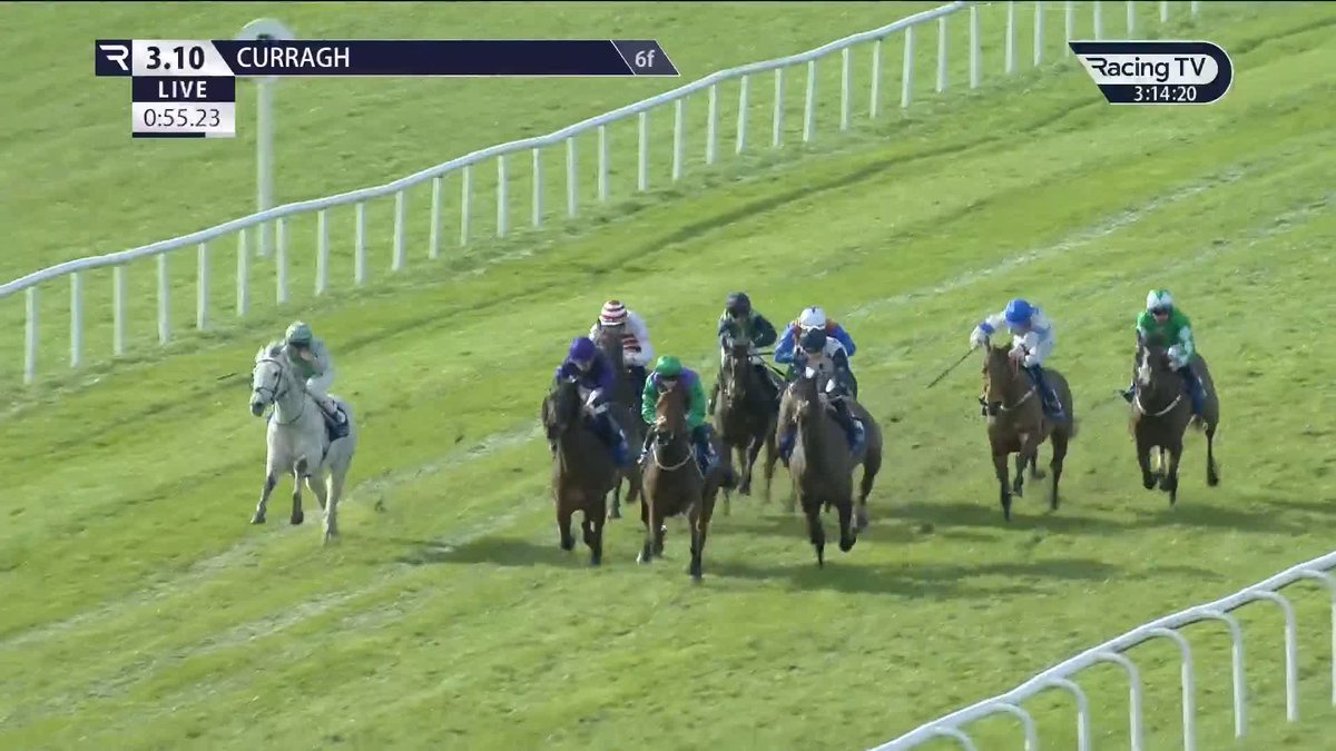 ✅ Another course-and-distance win for Dmaniac in the Nua's Canine Therapy Handicap for Martin Hassett and Wayne Lordan The Curragh Racecourse