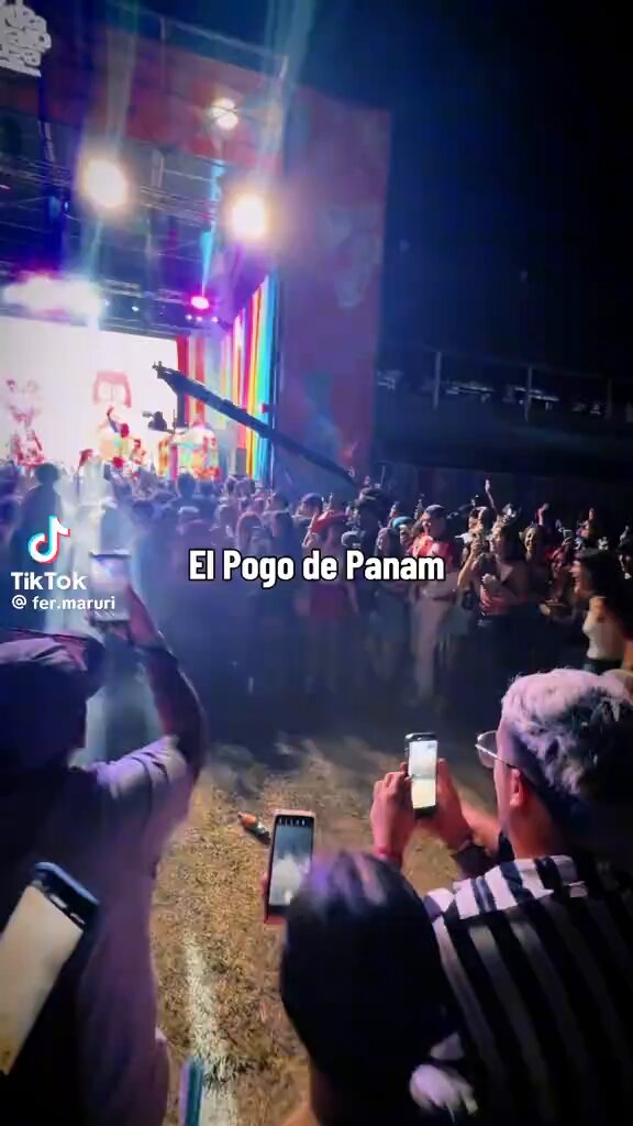 “Panam” Por el pogo que hizo el público en el recital de Panam en el Lollapalooza Argentina.