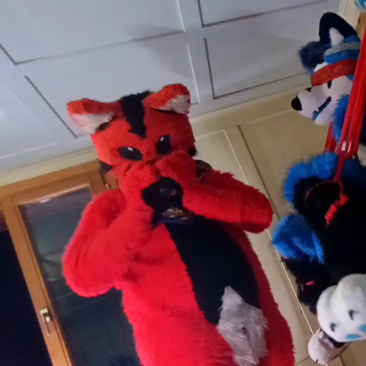 Fursuiter: Aziell_Fox smoki