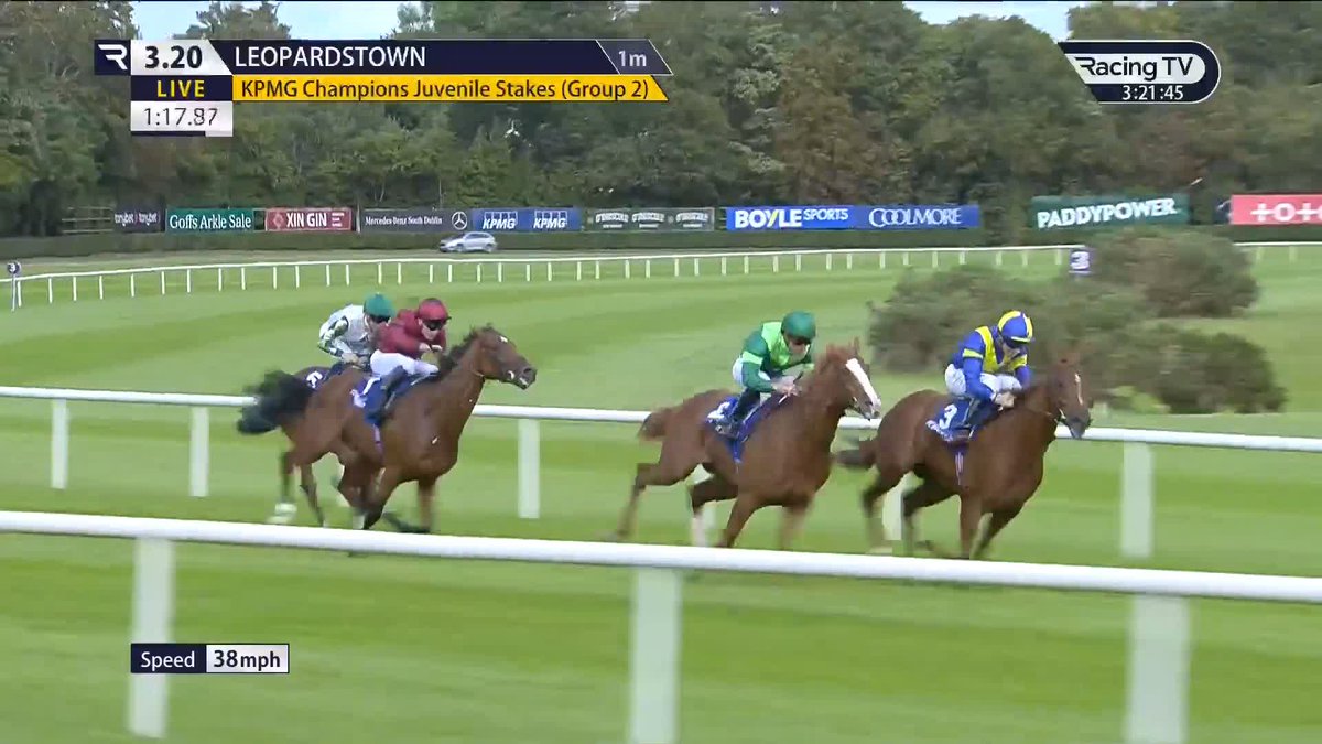 Benvenuto Cellini has “done very well”. Epsom is the plan