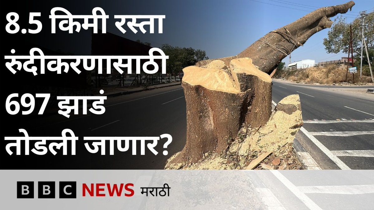 ‘ही झाडं तोडणं म्हणजे मरणाच्या दिशेनं वाटचाल करणं,’ 8.5 किलोमीटर रस्त्याच्या चौपदरीकरणासाठी 697 झाडं तोडण्याचं प्रकरण काय? CMO Maharashtra Aaditya Thackeray Pankaja Gopinath Munde Shrikant Bangale | श्रीकांत बंगाळे