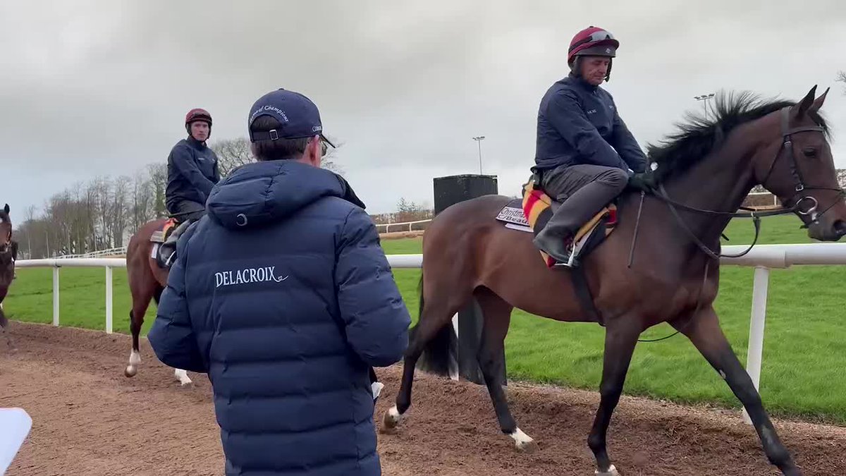 🏇 BALLYDOYLE OPEN MORNING 🏇 Get a behind-the-scenes look following Aidan O'Brien's open morning at Ballydoyle 😍