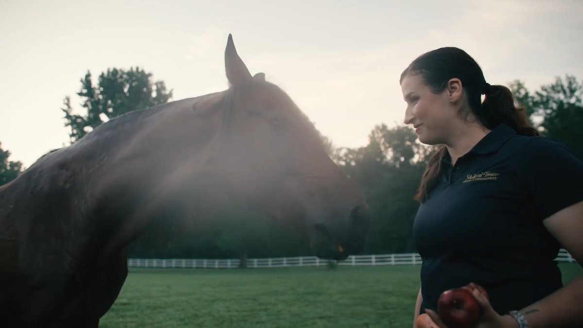 Step into the stables to meet the devoted trainers and veterinarians who care for our horses each day. Discover the skill, compassion, and dedication that keep our horses thriving in castles across the realm. 🏰