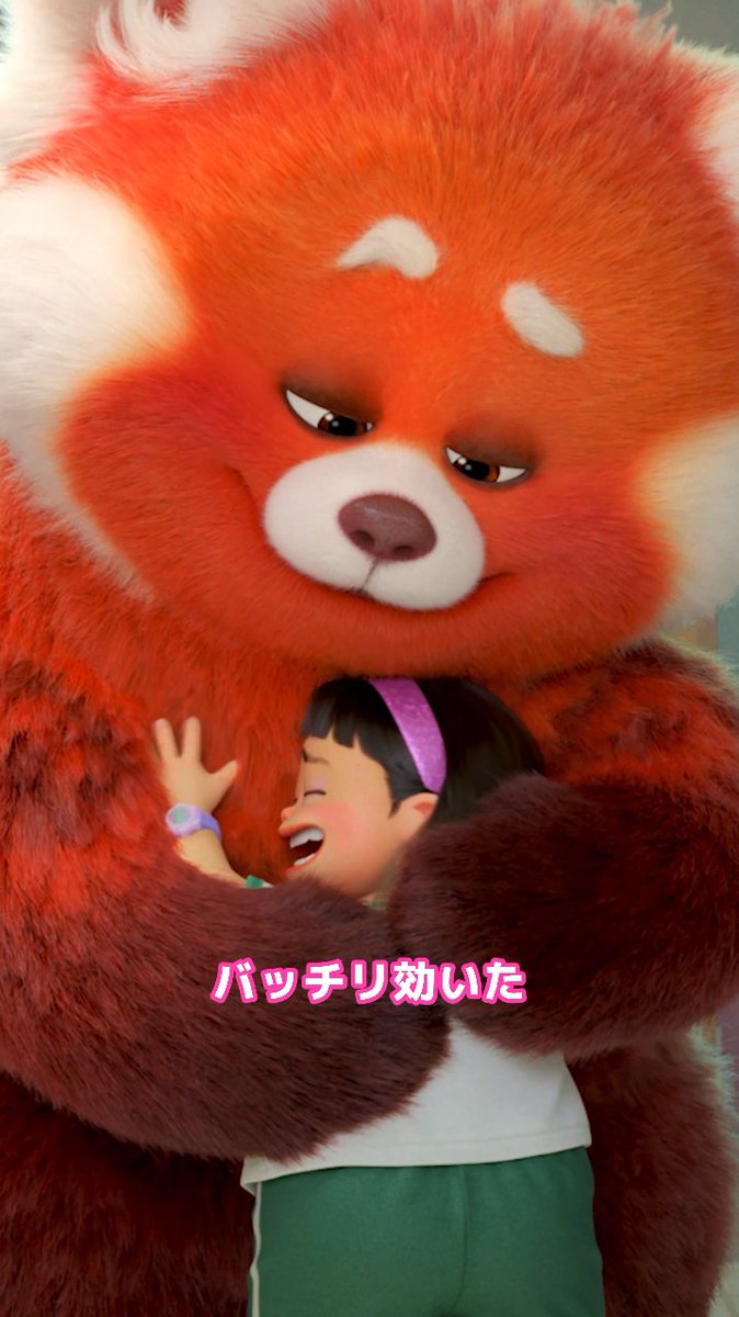 ピクサー”もふもふ”キャラ🔍 ︶︶︶ ︶︶ ︶︶ ︶︶ ︶︶ メイは感情が高ぶると… \ レッサーパンダに変身‼️ / この❝もふもふ❞にダイブしたい人🖐️ 「🐾」をリプライへ どんな自分も好きになれる 〈じぶん解放〉物語✨ 『私ときどきレッサーパンダ』 は ディズニープラスで配信中🟠