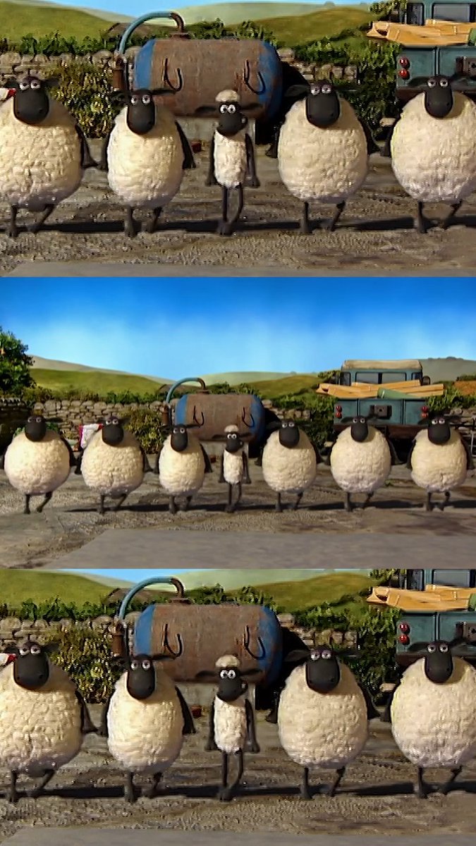 Happy St Patrick’s Day from Shaun and the flock! ☘️ #HappyStPatricksDay #LuckOfTheIrish #StPatricksDay