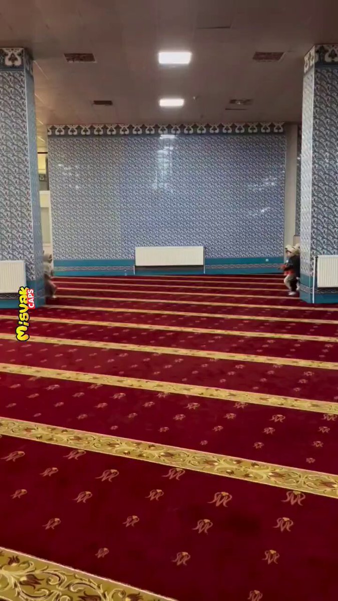 Bu çocuklara umarım tecavüz etmezler, ederlerse “rızası vardı” derler, diğer çocuklara dedikleri gibi, erken büyütürler.