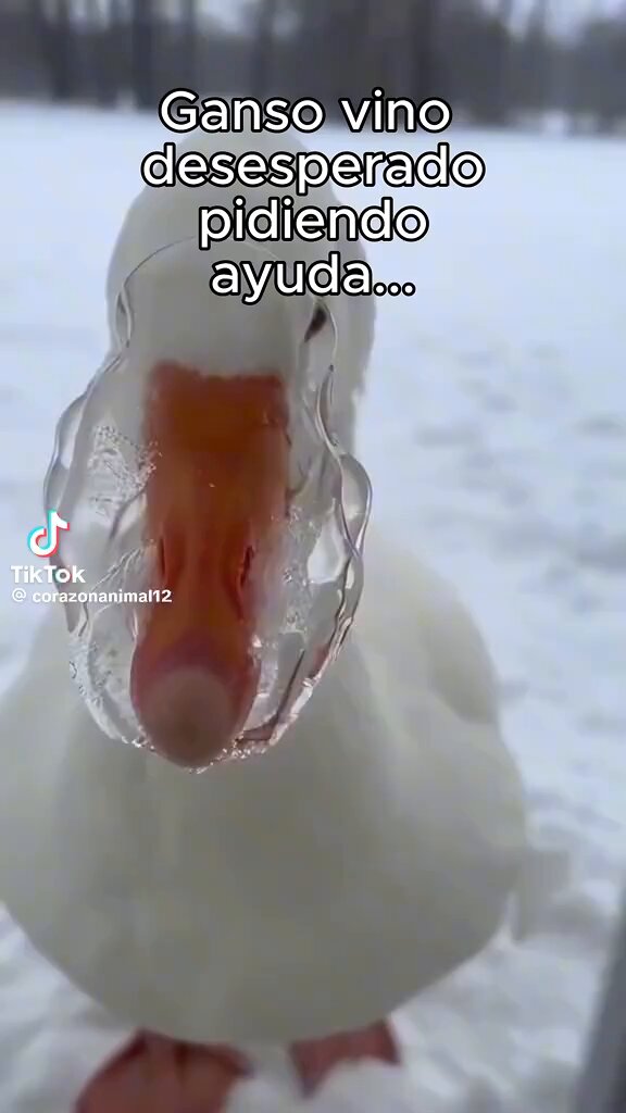 Aww....❤️❤️❤️😘