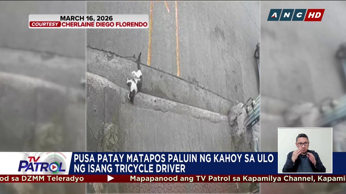 Arestado ang isang tricycle driver matapos hambalusin ng kahoy sa ulo ang isang pusa sa Bgy. Holy Spirit, Quezon City.