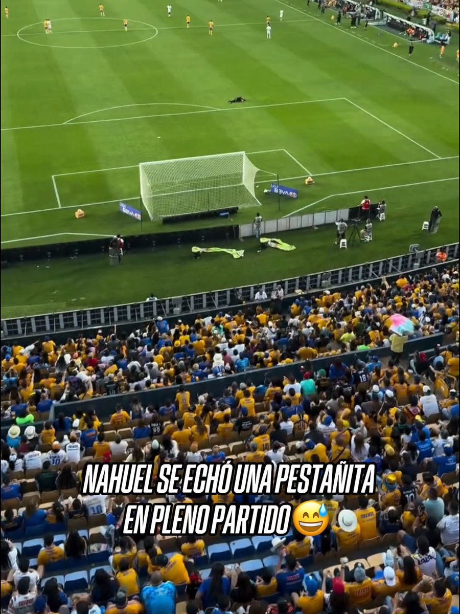 Nahuel Guzmán lo volvió a hacer 😅 El portero de Tigres tomó una pequeña siesta durante el juego ante Querétaro que terminó 0-0. 🎥 Vía IG: wero_auriazuloficial