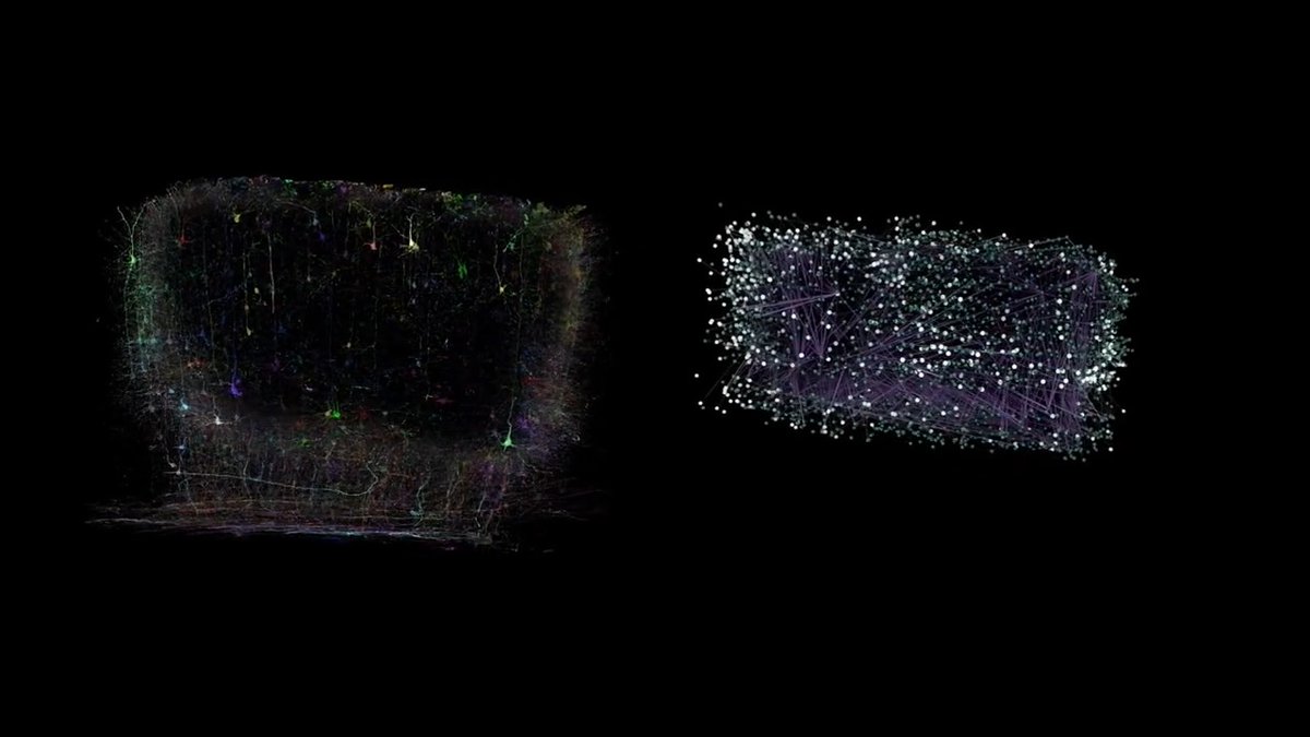The brain as it's never been seen before. Last year, scientists created the largest wiring diagram and functional map of a mammal brain to date. #BrainAwarenessWeek Dana Foundation🧠