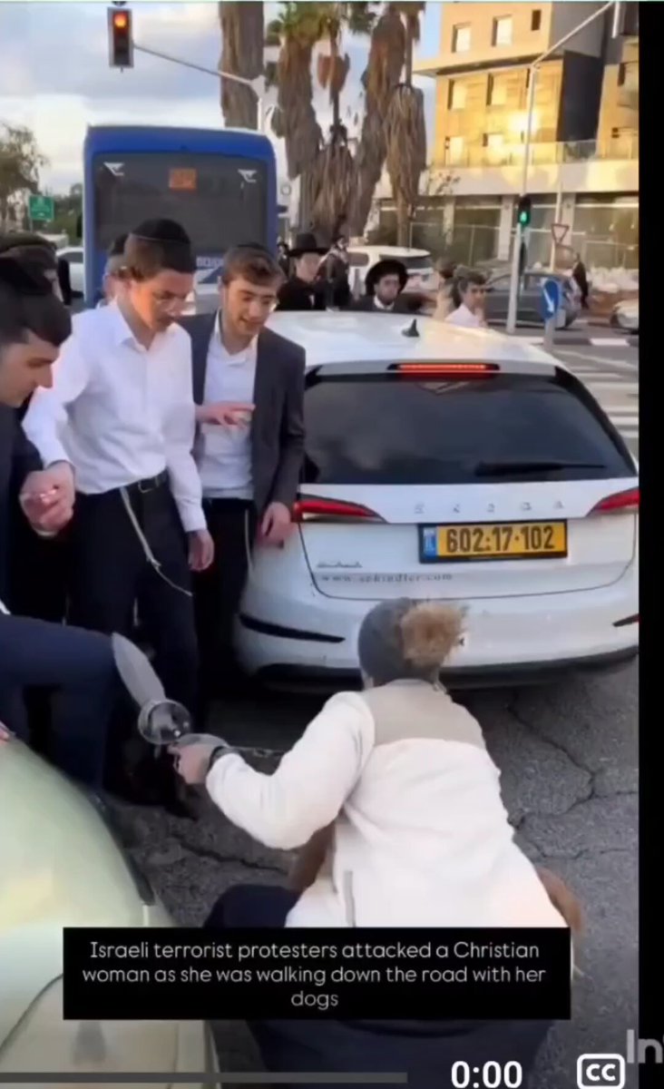 Inbred parasites were harassing a Christian woman just for walking her dogs. And they wonder why the world hates them.
