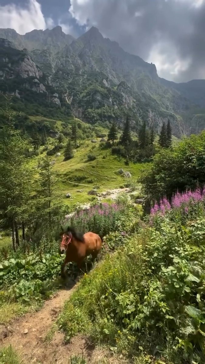 You'll find beauty in everything once you start noticing. Mălăiești Valley, where the Bucegi Mountains cradle raw, wild splendor. Romania's quiet masterpiece. 🤍