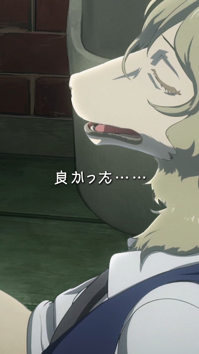 ◤◢◤◢◤◢◤◢◤◢◤◢◤◢◤◢◤◢ 『#BEASTARS FINAL SEASON』Part2 Netflix独占配信中🐺🐰✨ ◤◢◤◢◤◢◤◢◤◢◤◢◤◢◤◢◤◢ #ピナ CV.#梶裕貴 にフォーカスして過去話をプレイバック!!🎥 アニメ『BEASTARS』シリーズ ついに完結！！✨ ぜひご視聴ください！👀 #bstanime