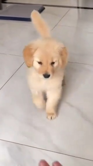 Aww so cutie 💗