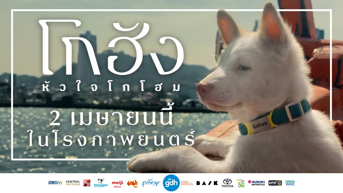 "เจ้าหมาตัวขาวจมูกชมพูอย่างผม จะทำให้คุณใจฟูด้วยความสุขเองงับ" ‘โกฮัง..หัวใจโกโฮม’ 2 เมษายนนี้ ในโรงภาพยนตร์ #โกฮังหัวใจโกโฮม #GOHANTheMovie