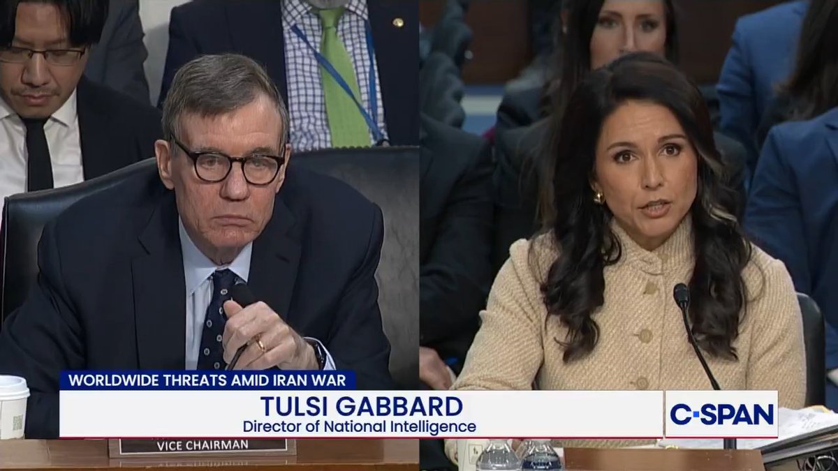 Sen. Mark Warner spars with DNI Gabbard over GA ballot seizure: "Where is the authority for you to involve yourself in a domestic law enforcement activity?" Gabbard: "I did not participate in a law enforcement activity, nor would I." Warner: "You were present at the scene."