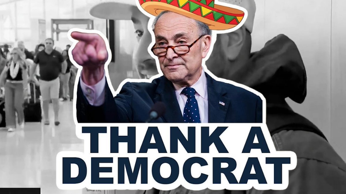 If you are missing a paycheck, missing a flight, or stuck in endless lines at the airport, thank a Democrat.