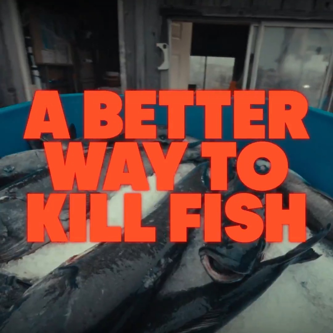 Two-thirds of wild-caught fish rot before they ever reach a plate. Shinkei built Poseidon, a mini-fridge sized robot, to fix that. Ike-jime. Six seconds. Commercial scale. On American fishing boats. What used to require a master’s hand at a $400 omakase counter is now automated on deck. Their mission is our purpose. And they’re hiring. Serious hardware requires serious engineers. Work at Shinkei: