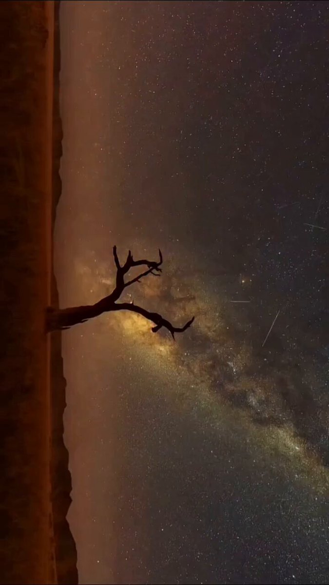 "The Cosmos is all that is or ever was or ever will be." - Carl Sagan