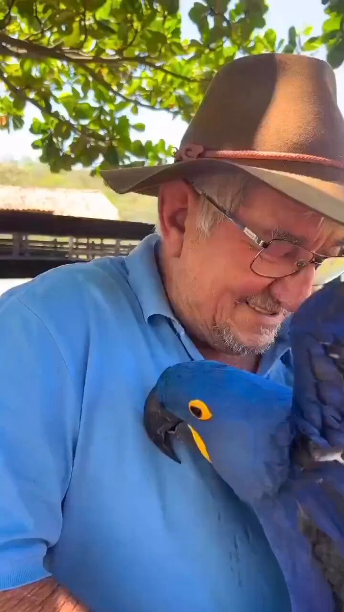 Sometimes all you need is a little hug..🦜🦜😍
