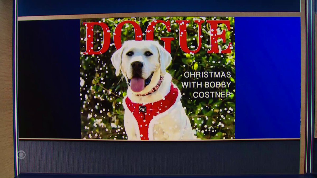 Dogue, a small fashion magazine just for dogs, is being sued by Condé Nast, the parent company of the magazine with a very similar name – Vogue.