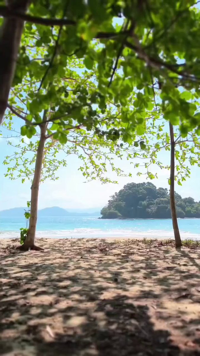 ไม่ต้องบินไปไกลถึงโตเกียว แค่เลี้ยวมา "เกาะญี่ปุ่น" อุทยานแห่งชาติแหลมสน จ.ระนอง 🇯🇵✨ น้ำใสมากกก ก.ไก่ล้านตัว! #เกาะญี่ปุ่น #อุทยานแห่งชาติแหลมสน #ระนอง #กรมอุทยานแห่งชาติ
