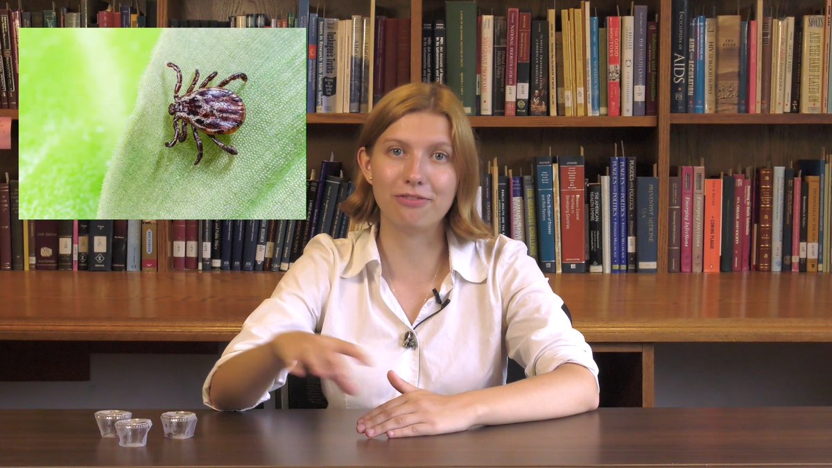 Ranging in size from as small as a speck of pepper to the size of an apple seed, ticks can be hard to spot and remove, increasing the chance of exposure to tick-borne diseases. NIH researchers are exploring how to trigger a process found in animals, where molecules called cytokines activate the neurons that cause us to itch. This would allow humans to scratch off a tick before it can transmit disease. Watch the full video to learn more:
