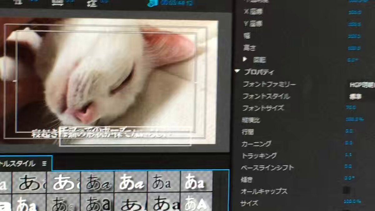 自身の動画編集を見守る猫