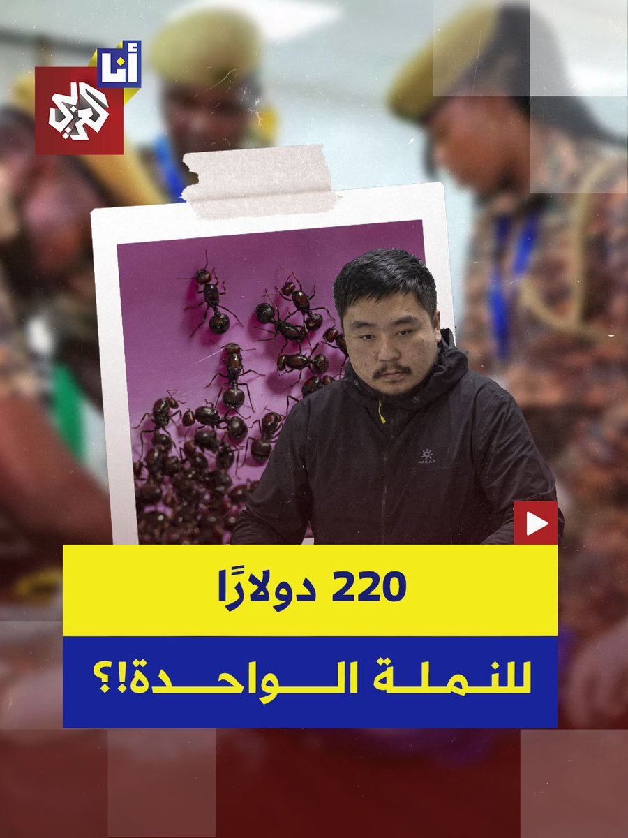 سعرة النملة الواحدة 220 دولارًا.. السلطات الكينية تقبض على شاب صيني أثناء محاولته تهريب أكثر من 2200 نملة مخبأة في أنابيب اختبار ومناديل ورقية في عملية مرتبطة بشبكة تهريب واسعة للنمل من كينيا.. إليكم التفاصيل في هذه القصة 👇