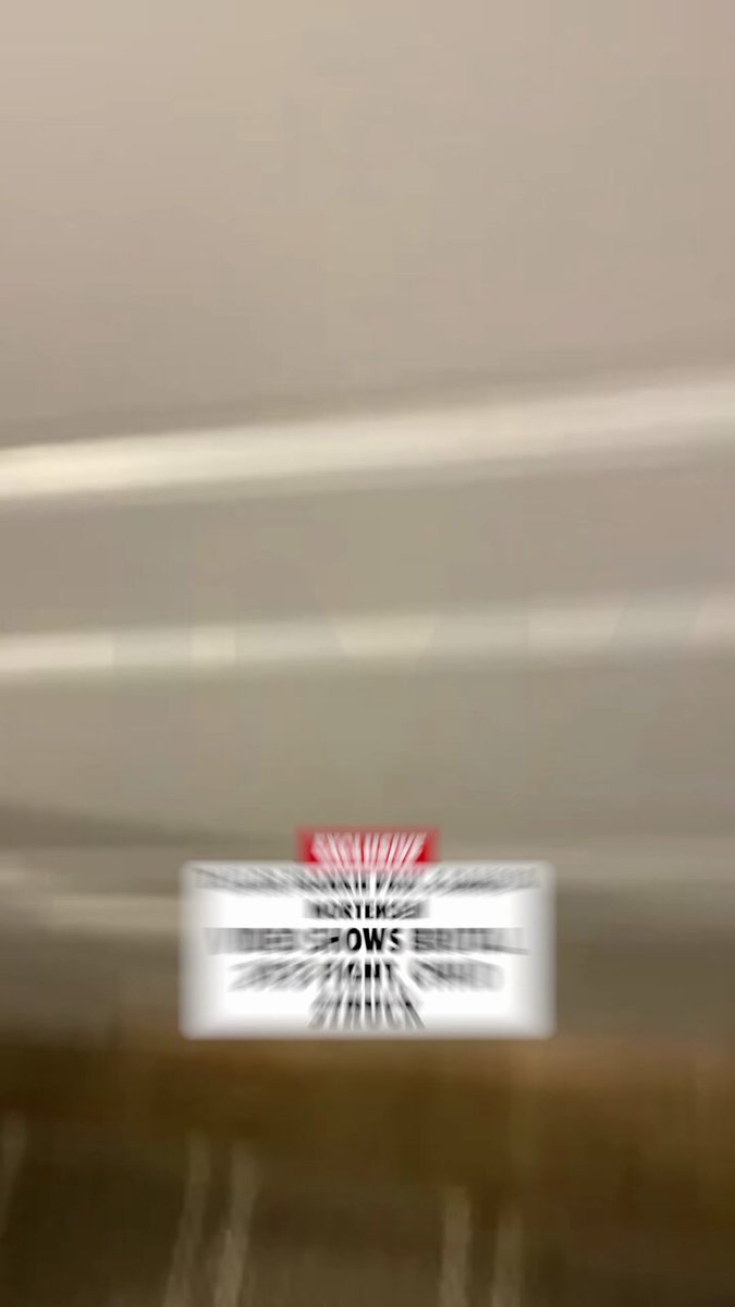🚨 EXCLUSIVE: Taylor Frankie Paul repeatedly attacked Dakota Mortensen during the 2023 incident in which she pled guilty to aggravated assault; video shows that one of her children was struck during the fight. Trigger Warning.