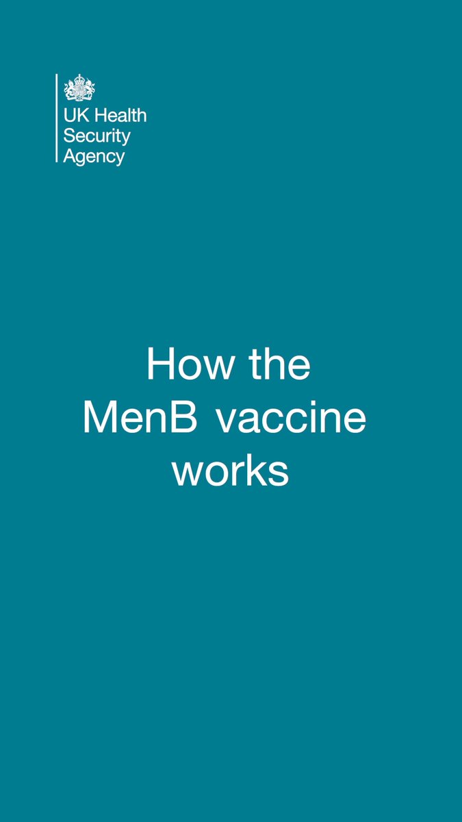 The MenACWY vaccine is offered to teenagers in the UK, but it doesn't protect against MenB, the strain behind the meningitis outbreak in Kent. This is why we are offering the MenB vaccine to certain eligible groups, Dr Vanessa Saliba explains the protection it offers down below.