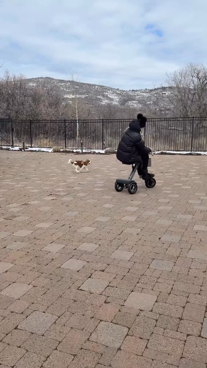 Lindsey Vonn isn't letting her leg injury stop her from playing outside with her puppy ❤️ The Olympic skier marked a big win in her recovery journey with a sweet video of herself walking her dog Chance using a scooter, spinning around and having fun with him as they strolled down the street. "Look out world! Here we come 🛴💃🏼🐶 Was my first time outside in over a month!" she wrote. 📽️ : #LindseyVonn
