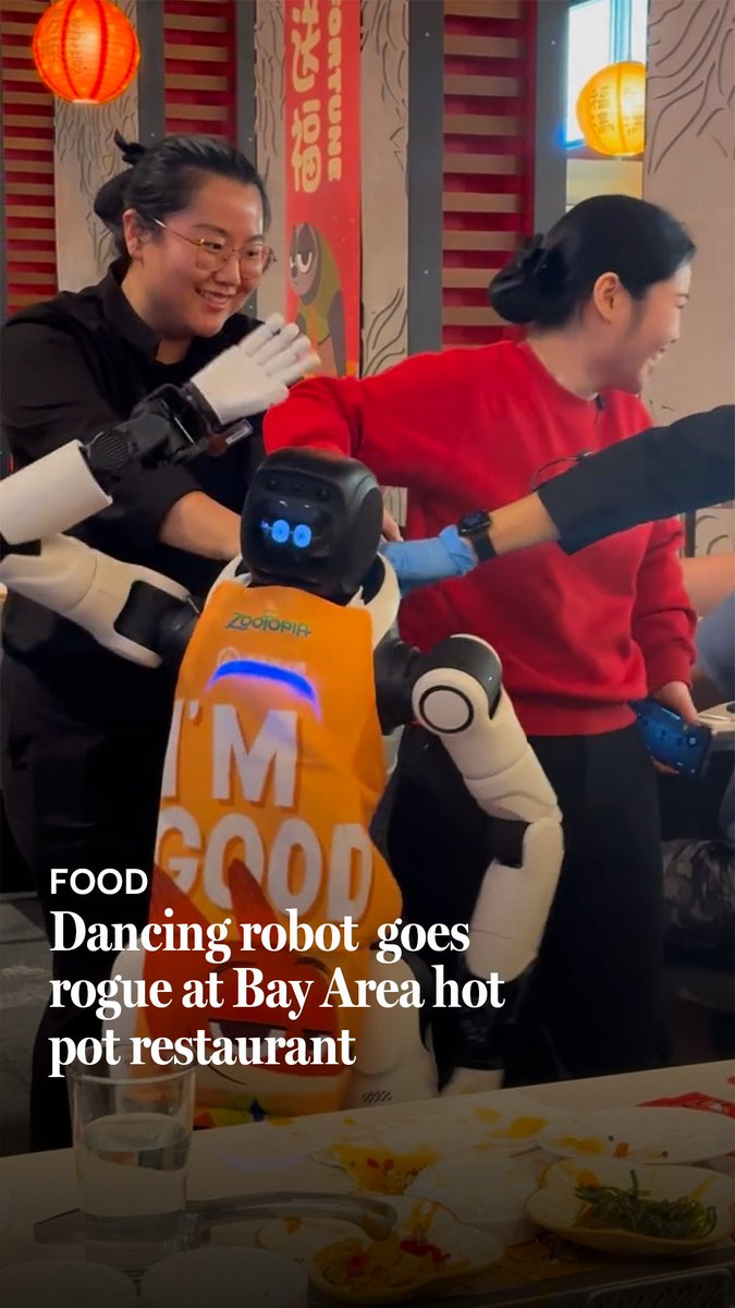 A dancing robot at a Cupertino Haidilao went off-script this week, knocking dishes off a table as diners watched. It kept dancing — arms swinging, body jerking — as three servers grabbed a strap around its neck and tried to pull it away. Its apron, a Zootopia 2 promotional number, read: “I’m good.”