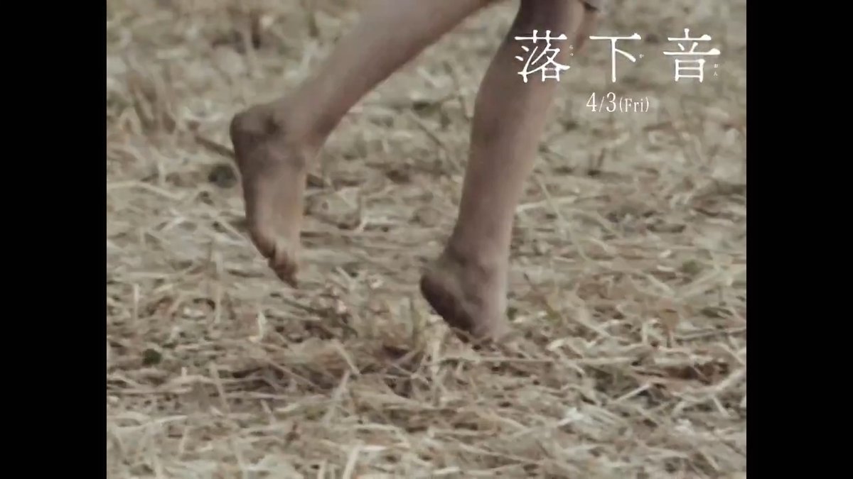 カンヌ国際映画祭で審査員賞に輝いたマーシャ・シリンスキ監督作『落下音』より、迫り来る音で恐怖を煽る特別映像が解禁された。北ドイツの農場を舞台に描かれる、4つの時代を生きる4人の少女が体験する百年にわたる怪奇譚。4月3日より日本公開