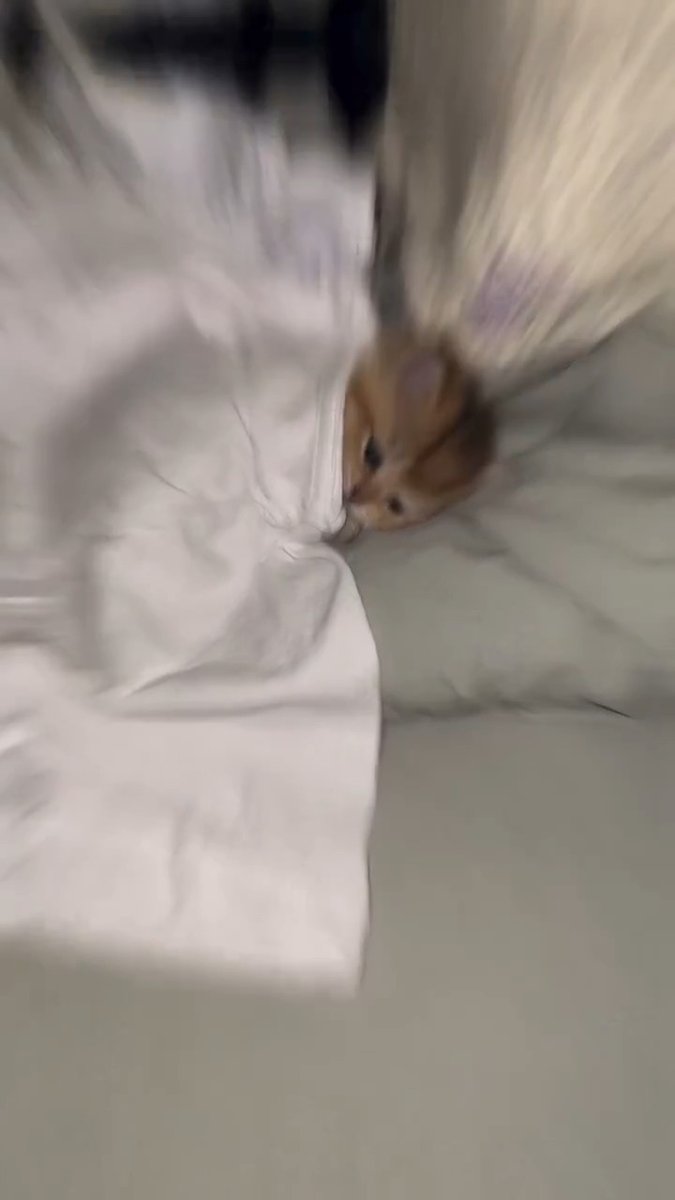 ready to sleep