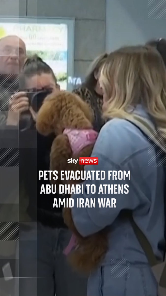 Pets have been evacuated from Abu Dhabi to Athens amid the Iran war. Many Greeks were trapped in the Middle East as they struggled to find airlines accepting of their pets. The government-organised a flight from Abu Dhabi carried 45 pets and 101 people