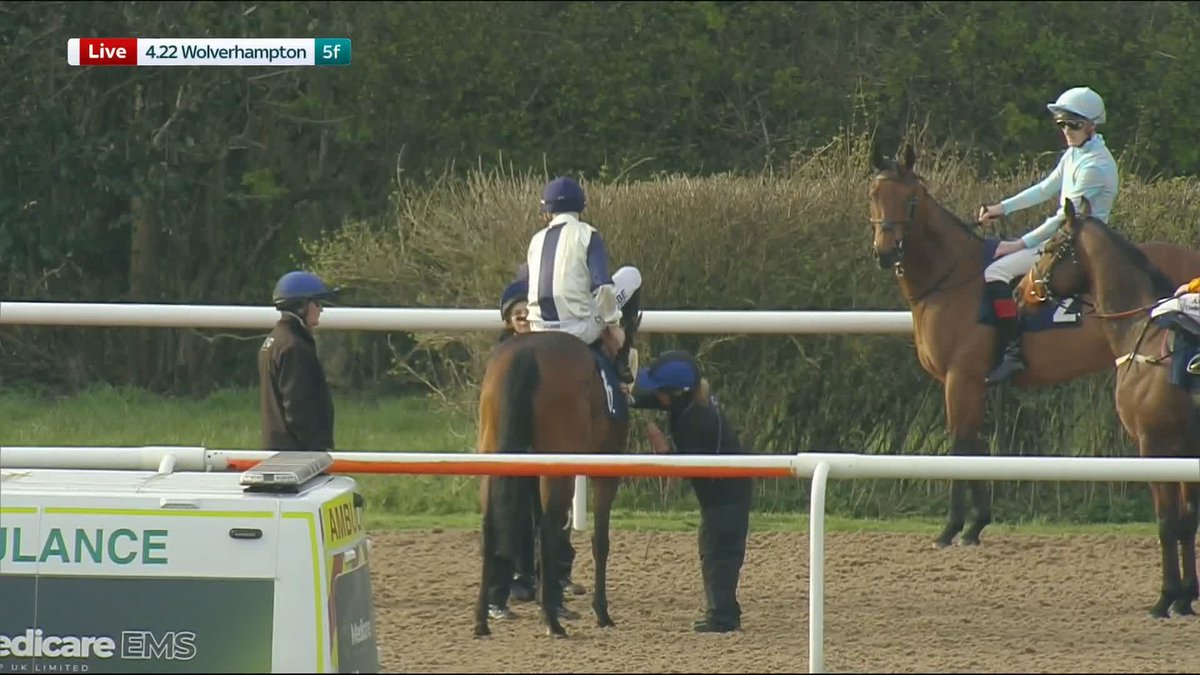 Hayley Moore, eat your heart out! 🤩 Scott Dixon Racing is the hero of the hour as he does his bit to catch Over Spiced before the first at Wolverhampton Races...
