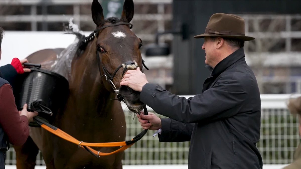 A look at the amazing work done by racecourse vets 🩺👏 #ITVRacing