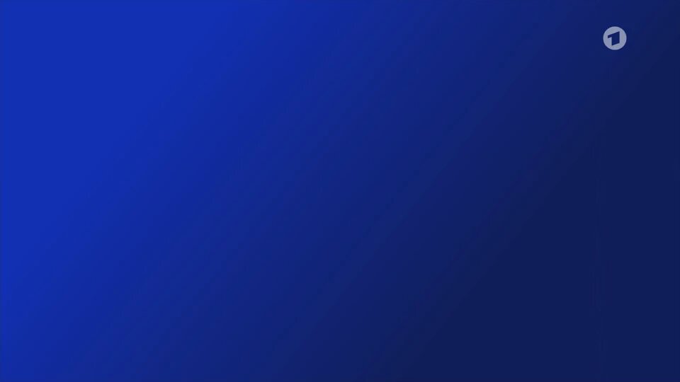 Die hat jetzt ernsthaft 14 Minuten in den Tagesthemen bekommen. Das 16 jährige Mädchen das in Neukölln vom Staat vergewaltigt wurde hat genau 0 Sekunden bekommen. Sie kacken in unsere Gehirne!