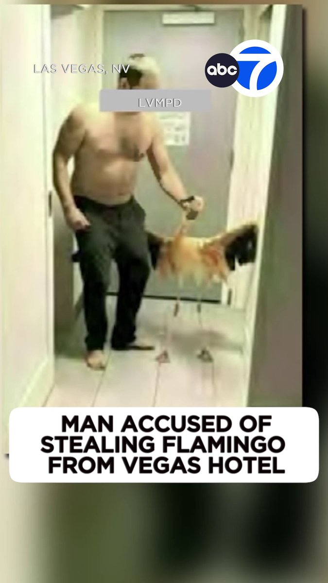 Las Vegas Metro Police released body camera video of an incident in which a man is accused of stealing a flamingo after entering its habitat at the Flamingo Las Vegas hotel. Canadian tourist Mitchell Fairbarn is accused of capturing and torturing the flamingo at the hotel where he was staying earlier this month.