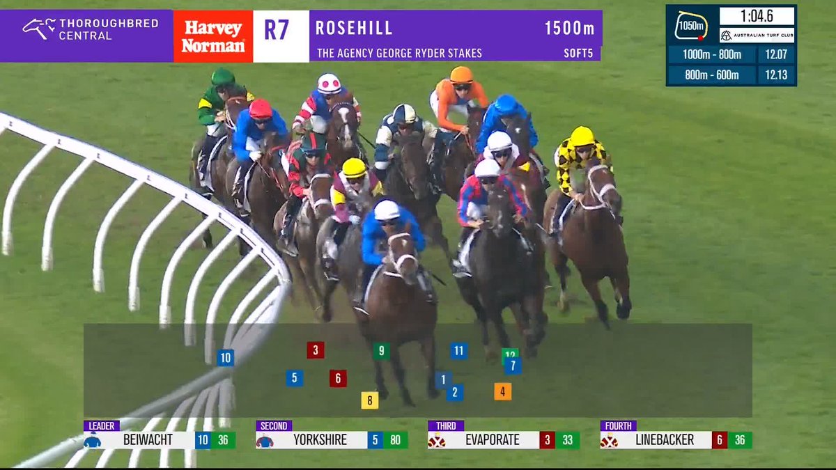 11 from 11...UNDEFEATED 🤯 AUTUMN GLOW claims the G1 George Ryder Stakes, and is starting some VERY uncomfortable conversations... 👀 What is the ceiling for this mare? 🤔