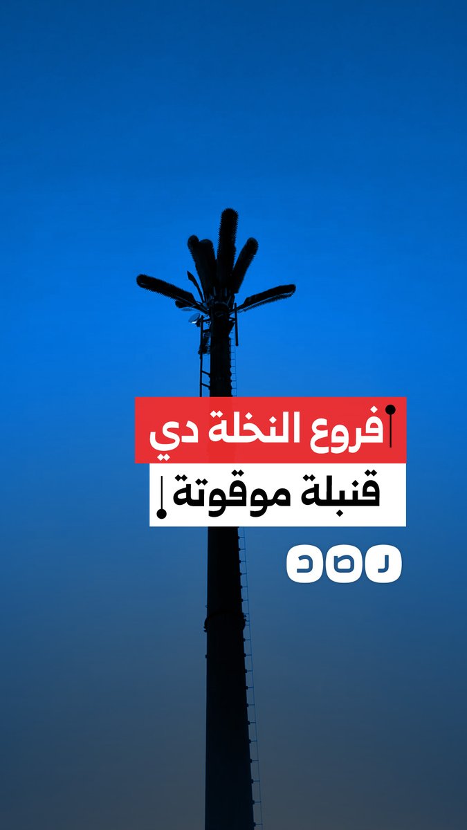مواطن يوثق إصابة آخر جراء سقوط فرع من نخلة بمحافظة دمياط