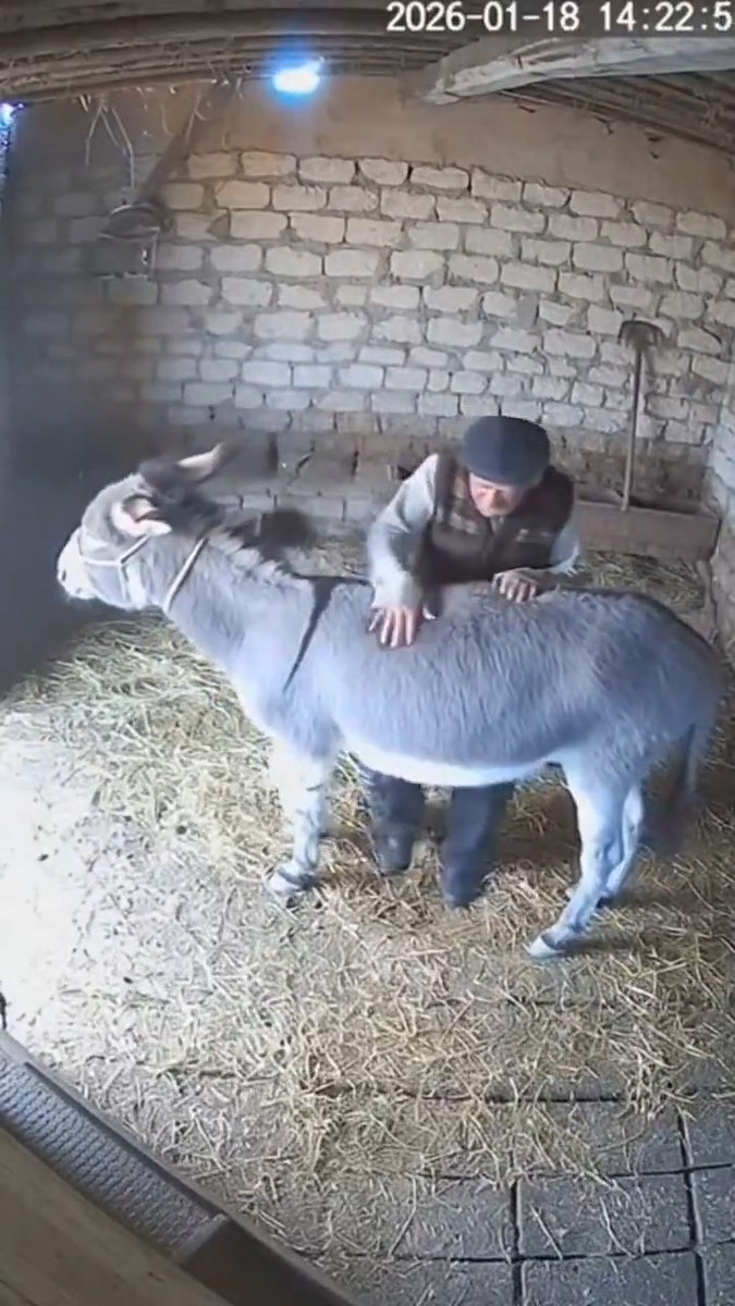 Dayı niyeti bozmuş