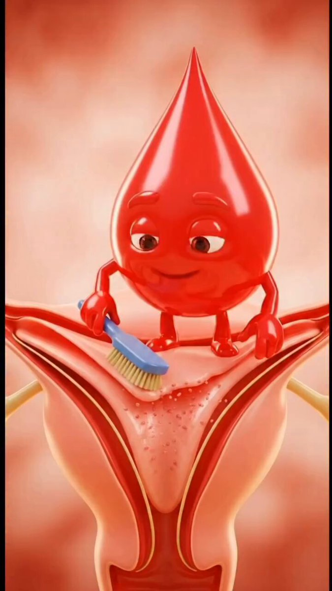 Your period needs support — not judgment.