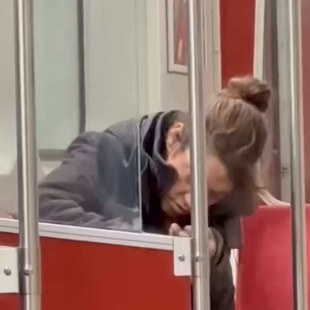 🎥 Woman spotted causally smoking fentanyl on Toronto public transit Toronto is gone. Its over for Toronto.
