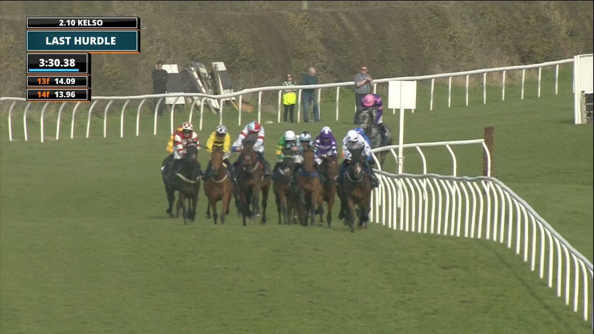Are you happy with Nico's riding of Khrisma today? The hot favourite pulled up 😬 Oh wait nobody can say a word against jockeys these days eh 😂
