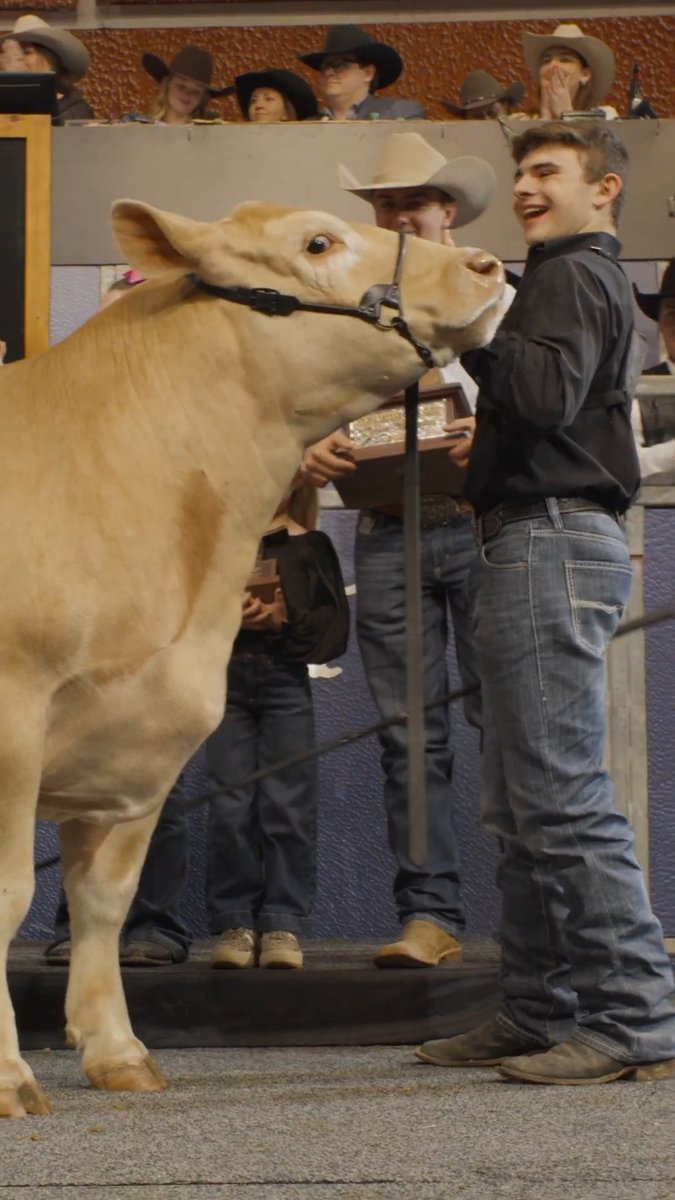 A $1.5 million steer rewriting the record books and showcasing the power of community and agriculture 👏 🏆 Jr. Market Steer Grand Champion: Mason Grady