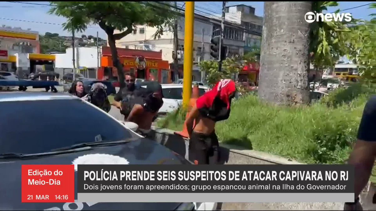 O que leva um ser humano (ou não) a causar uma agressão tão fútil e desnecessária em um indefeso animal?
