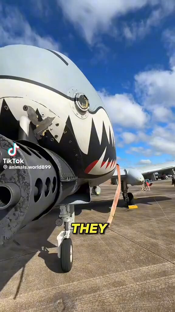 The Warthog is my favorite military plane and has just been deployed to help open the Strait of Hormuz! I'd hate to be on the receiving end of this flying tank!